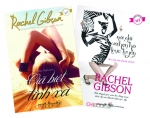 Bộ 2 Cuốn Tiểu Thuyết Lãng Mạn Ăn Khách Nhất Của Tác Giả Rachel Gibson